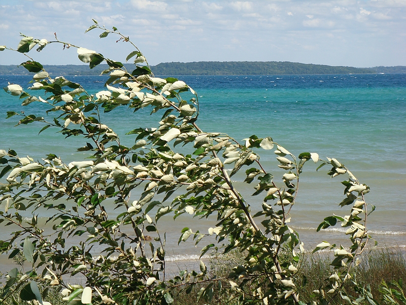 Western Michigan [2010] 560.JPG - Scenes from our trip to Western Michigan. Some places along the way were Ludington, Sleep Bear Dunes, and Traverse City.